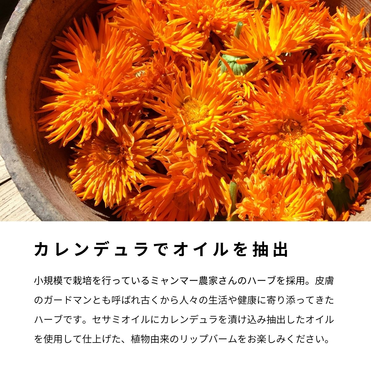 セサミバーム8g【エシカルver.】