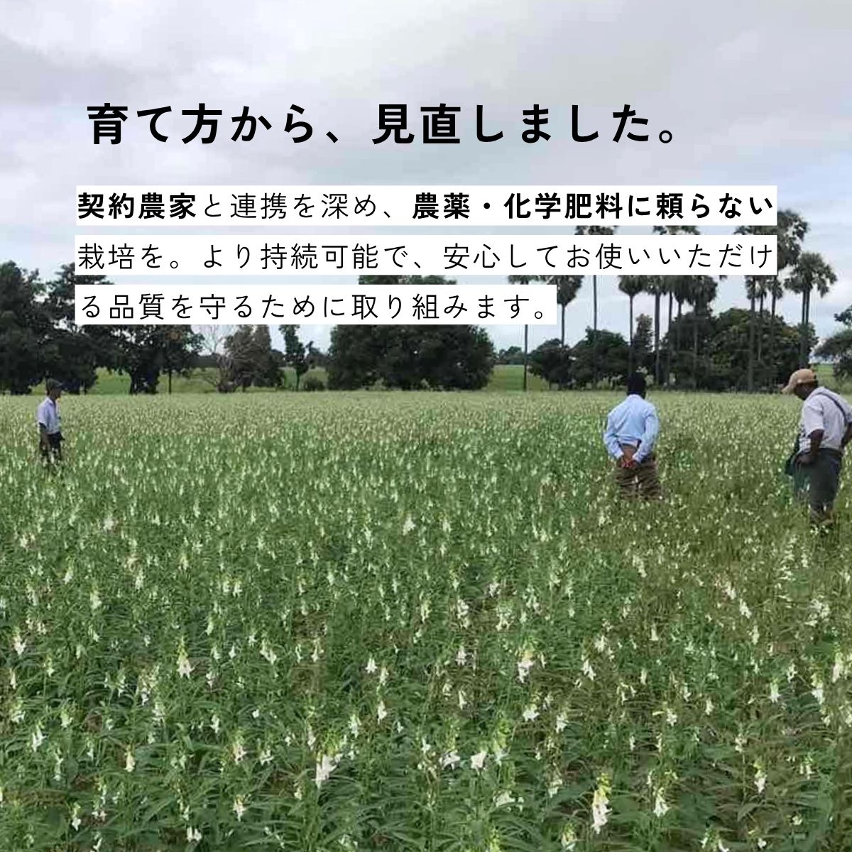 エキストラバージンごま油 120g