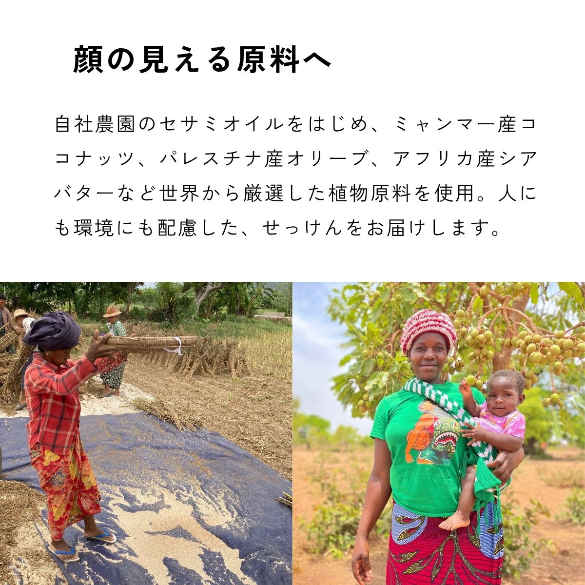 【11月上旬お届け】アロマオイルせっけん｜Jasmin