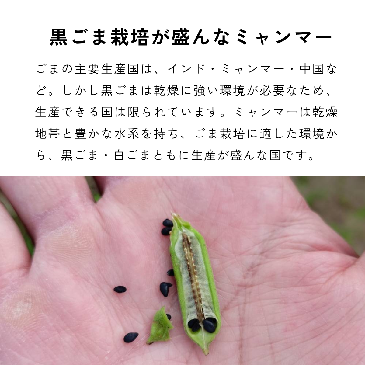 一番搾り焙煎黒ごま油 120g
