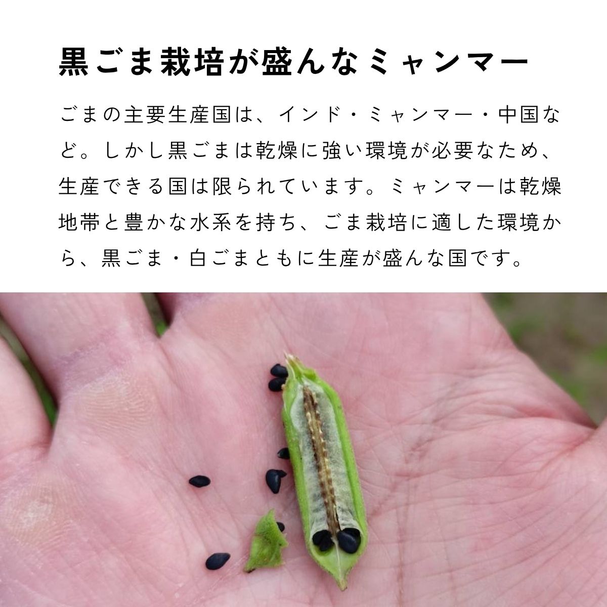 一番搾り焙煎黒ごま油 120g