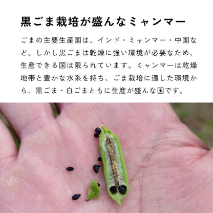 一番搾り焙煎黒ごま油 120g