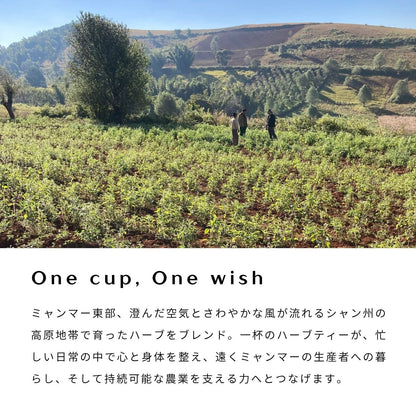 ハーブティ｜Shan Breeze Herb Tea