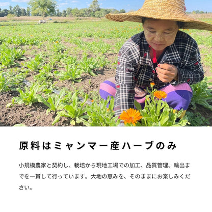 ハーブティ｜Shan Breeze Herb Tea